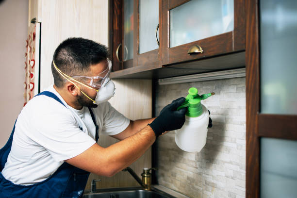 Trusted Hoschton, GA Pest Control Experts