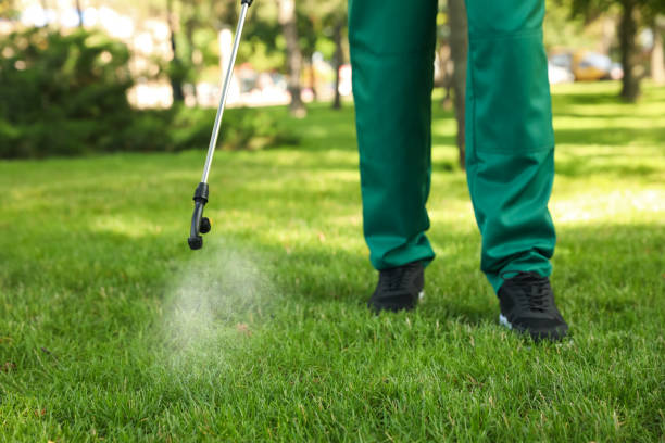 Best Wasp Removal Services  in Hoschton, GA