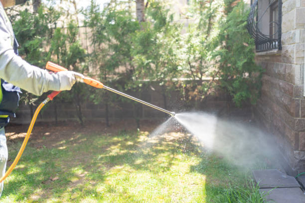 Best Wildlife Control Services  in Hoschton, GA